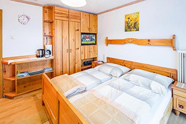 Appartements Scharzenberger Und Hinteregg Schladming Εξωτερικό φωτογραφία